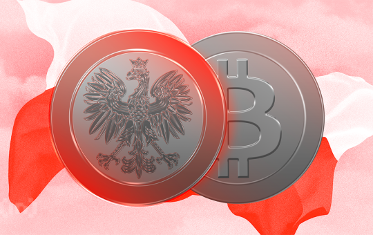 Poland’s Sławomir Mentzen Promises Strategic Bitcoin Reserve Adoption If Elected President