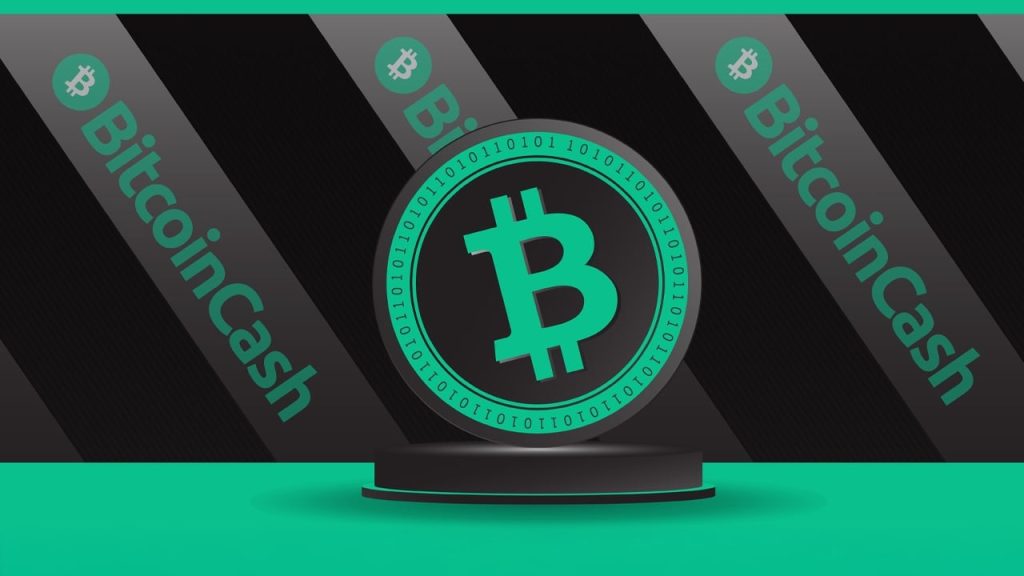 Community Fundraising Effort Launched to Secure Bitcoin Cash API Service