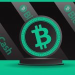 Community Fundraising Effort Launched to Secure Bitcoin Cash API Service