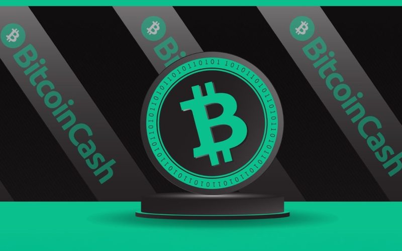 Community Fundraising Effort Launched to Secure Bitcoin Cash API Service