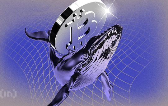 Government Bitcoin Holdings Drop by Over 12% in a Year