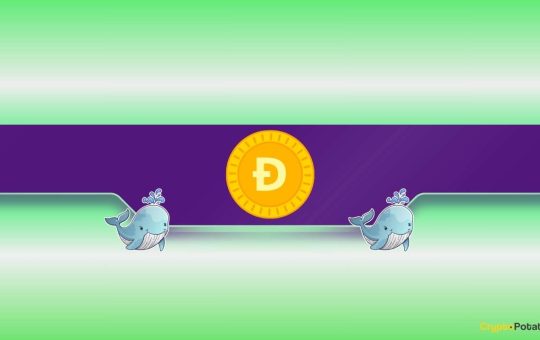 What Are Dogecoin Whales Preparing For?
