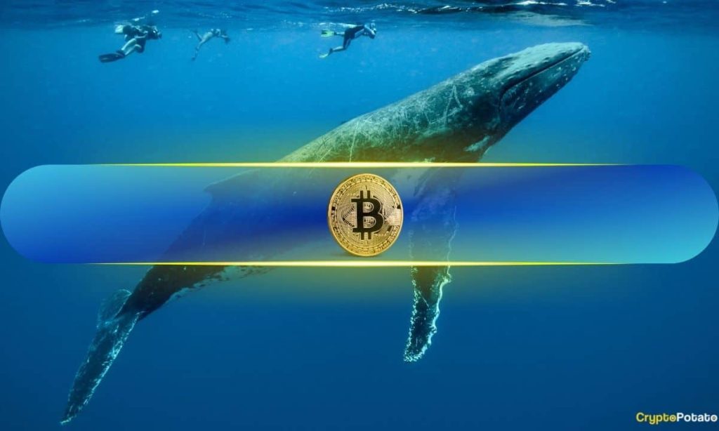 Bitcoin to $121K Next Week? Mega Whale Wynn Bet $1.25B on It