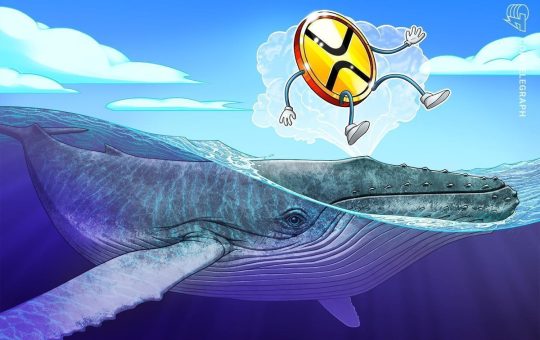 XRP whale flow and technical setup hint at 40% price boom next