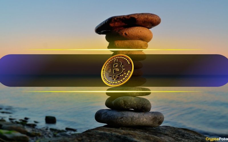 Bitcoin's 'Boring' 2025 Hides the Most Important Shift in Crypto History: Analysts