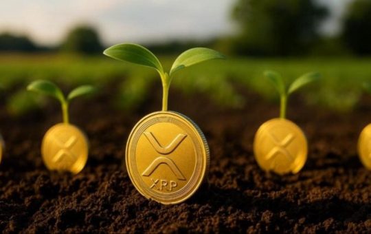 Agtech firm Nature’s Miracle launches $20M XRP treasury, eyes long-term yield generation via staking