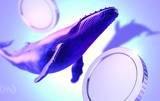 What Crypto Whales Are Buying After Successful US Crypto Week