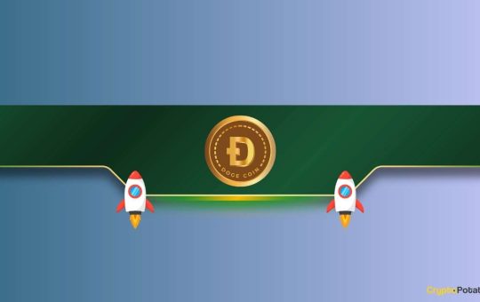 Dogecoin Rockets Beyond $0.20 — Is $0.36 or Even $0.54 Next?