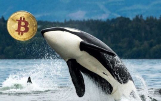 Galaxy Digital sends over 10,000 Bitcoin from Satoshi-era stash to exchanges