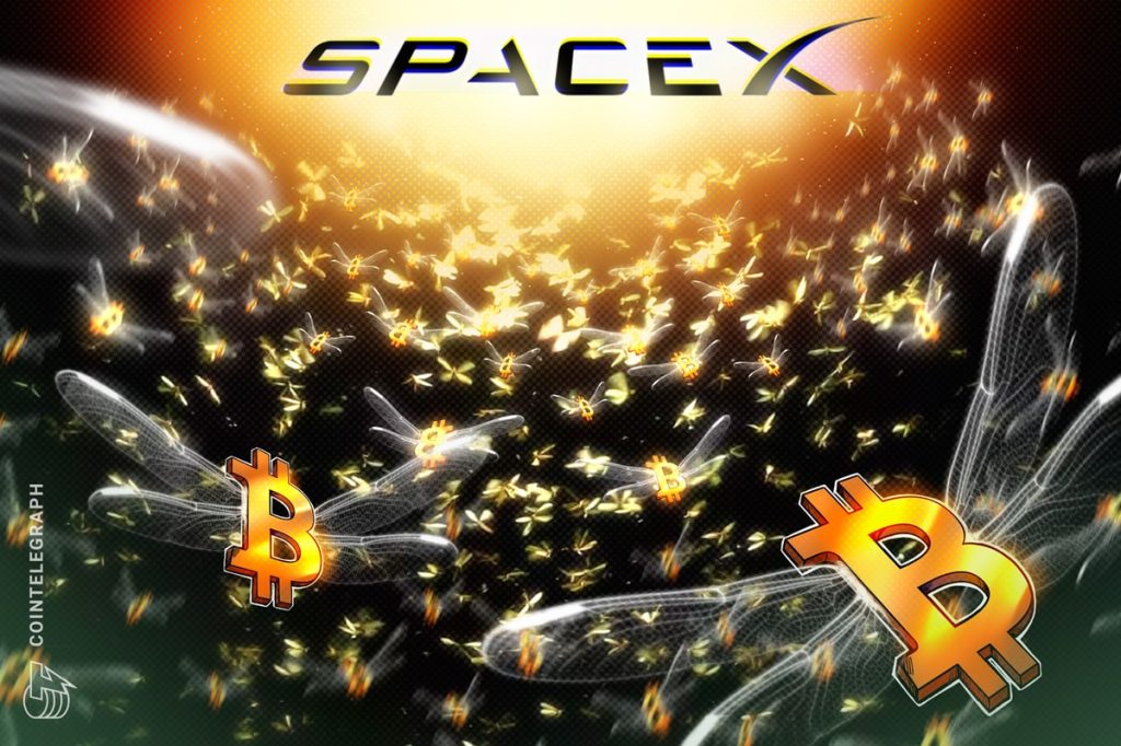 Spacex Moves $153M BTC After Three-Year Silence