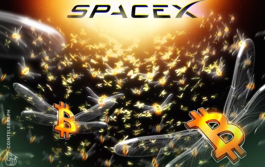 Spacex Moves $153M BTC After Three-Year Silence