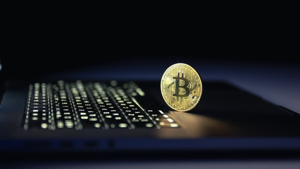 bitcoin wallet for self custody