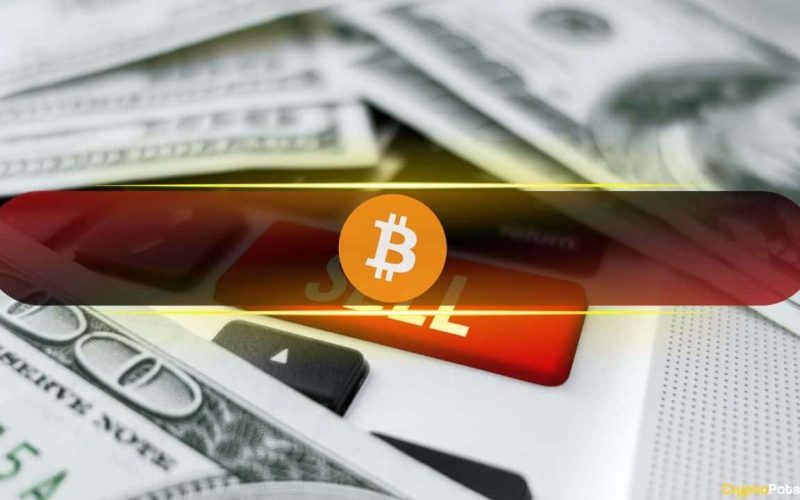 Bitcoin STHs Realize Losses for First Time Since January—Impact on BTC Price?