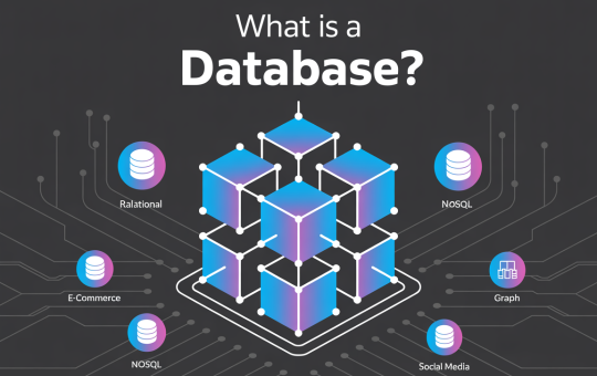 What is a Database? Modern Database Types, Examples, and Applications (2025)