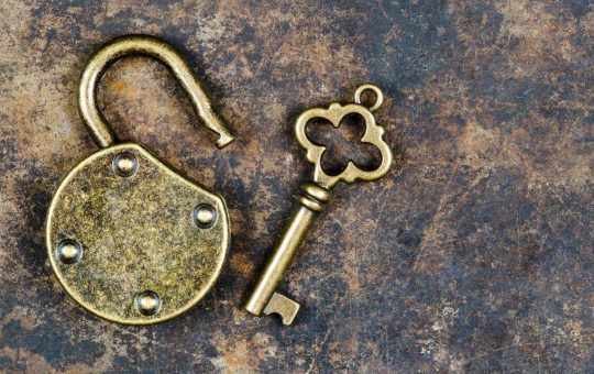 APT, SOL, TRUMP Lead the Pack