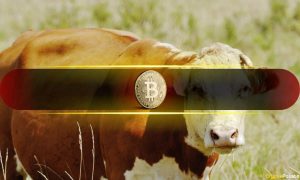 Bitcoin Bull Market Ending in 50 Days, Says Analyst