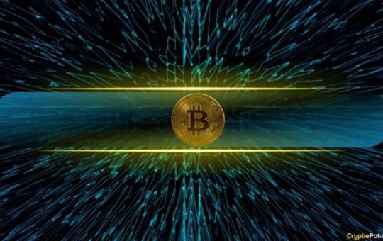 Is Bitcoin’s Decentralization at Risk? 29% of Newcomers Think So