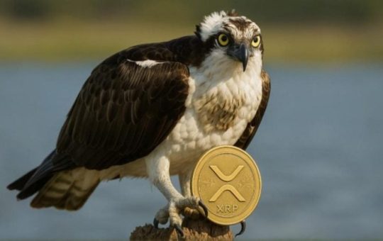 REX-Osprey to debut first XRP ETF in the US this week