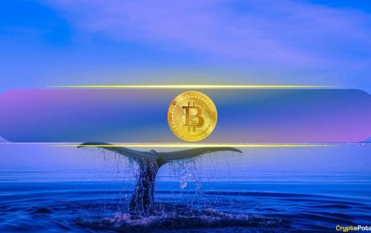 Whales Profit-Take in $115K–$125K Zone