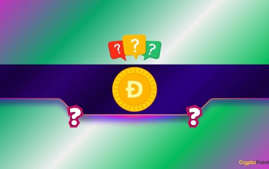 Critical DOGE Price Levels to Watch