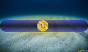 Is This the Cycle Bottom? Short-Term Holders Capitulated as BTC Hit $80K