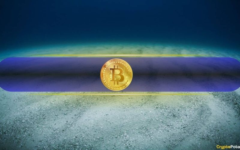 Is This the Cycle Bottom? Short-Term Holders Capitulated as BTC Hit $80K