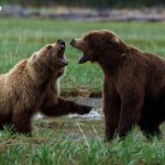 Bitcoin Loses $90K, Bears Pile Over $200 Million in Liquidations