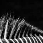 Juventus owner rejects acquisition offer from Tether