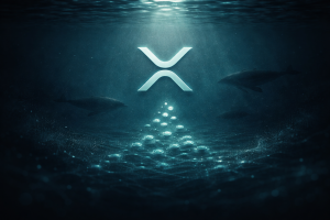 XRP Whales