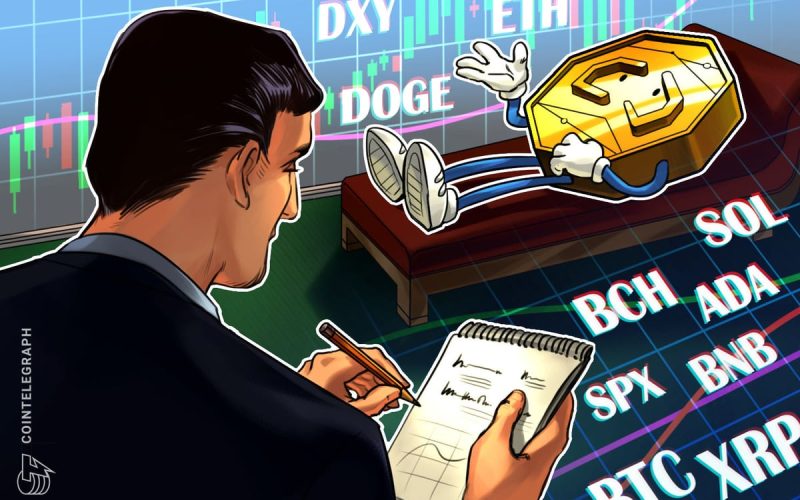 Relief Rally Leads To Green Bitcoin, Altcoin Charts, But Will It Last?