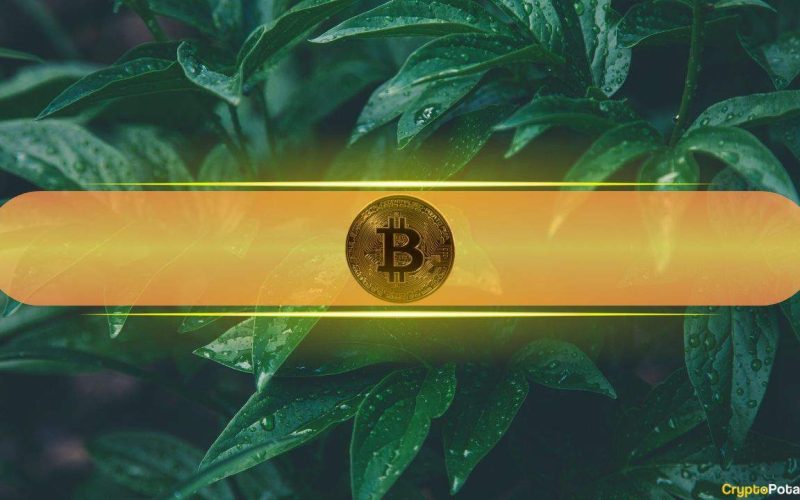 Analysts Eye 'Insane Reversal' in Markets as Bitcoin Touched $70K