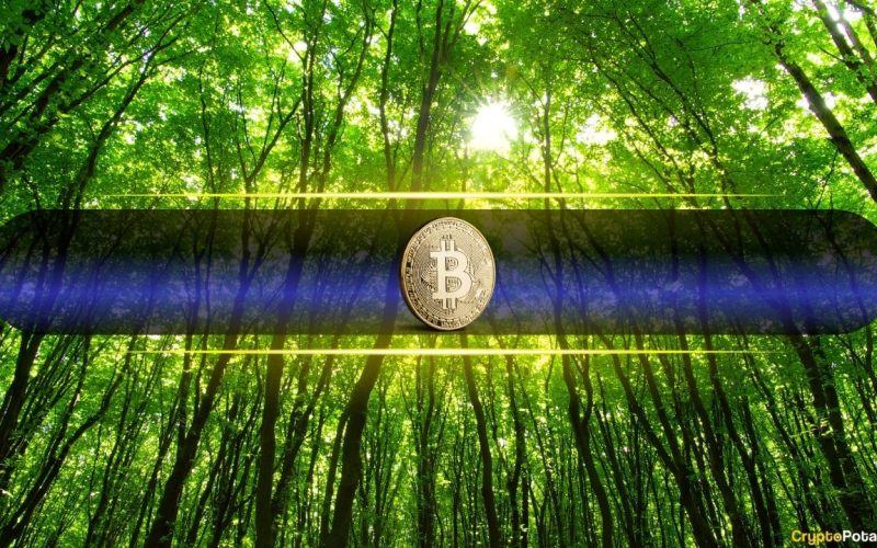 Bitcoin Surges to Six-Week High as Bulls Eye $80K