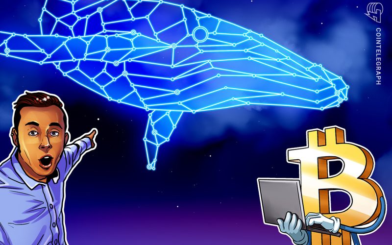 Bitcoin Whales Are Starting To Accumulate Again at $71K: Santiment