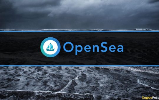 NFT Giant OpenSea Delays SEA Launch Amid Market Challenges