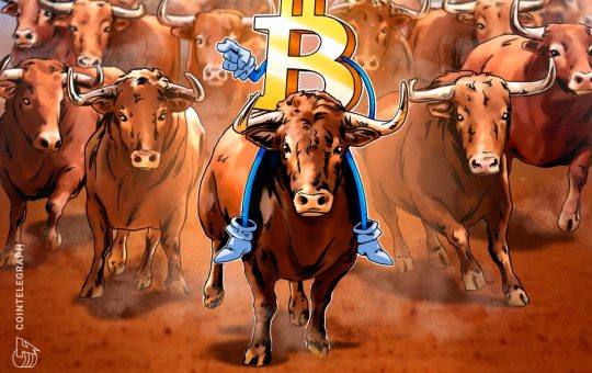What Will Restart The Rally?