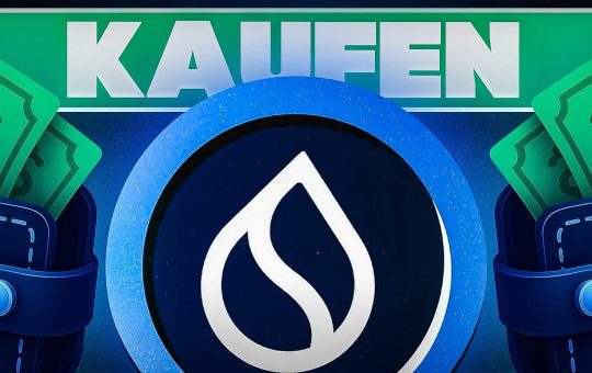 SUI coin Kaufen