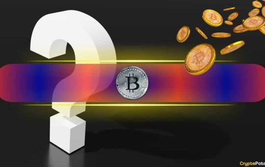 Critics Say BIP-110 Could Break Self-Custody and Risk User Funds