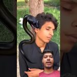 Allah Tala ke madad#ytshorts #news #prayer #today #ai #emotional