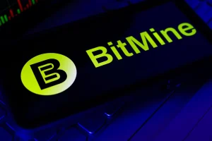 Bitmine Ethereum Holdings Reach 4.8% of Total ETH Supply