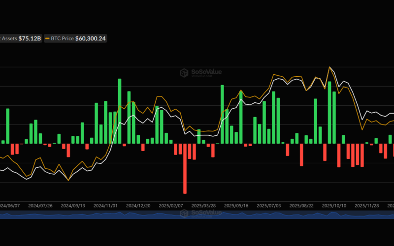 Bitcoin Spot ETF Netflow